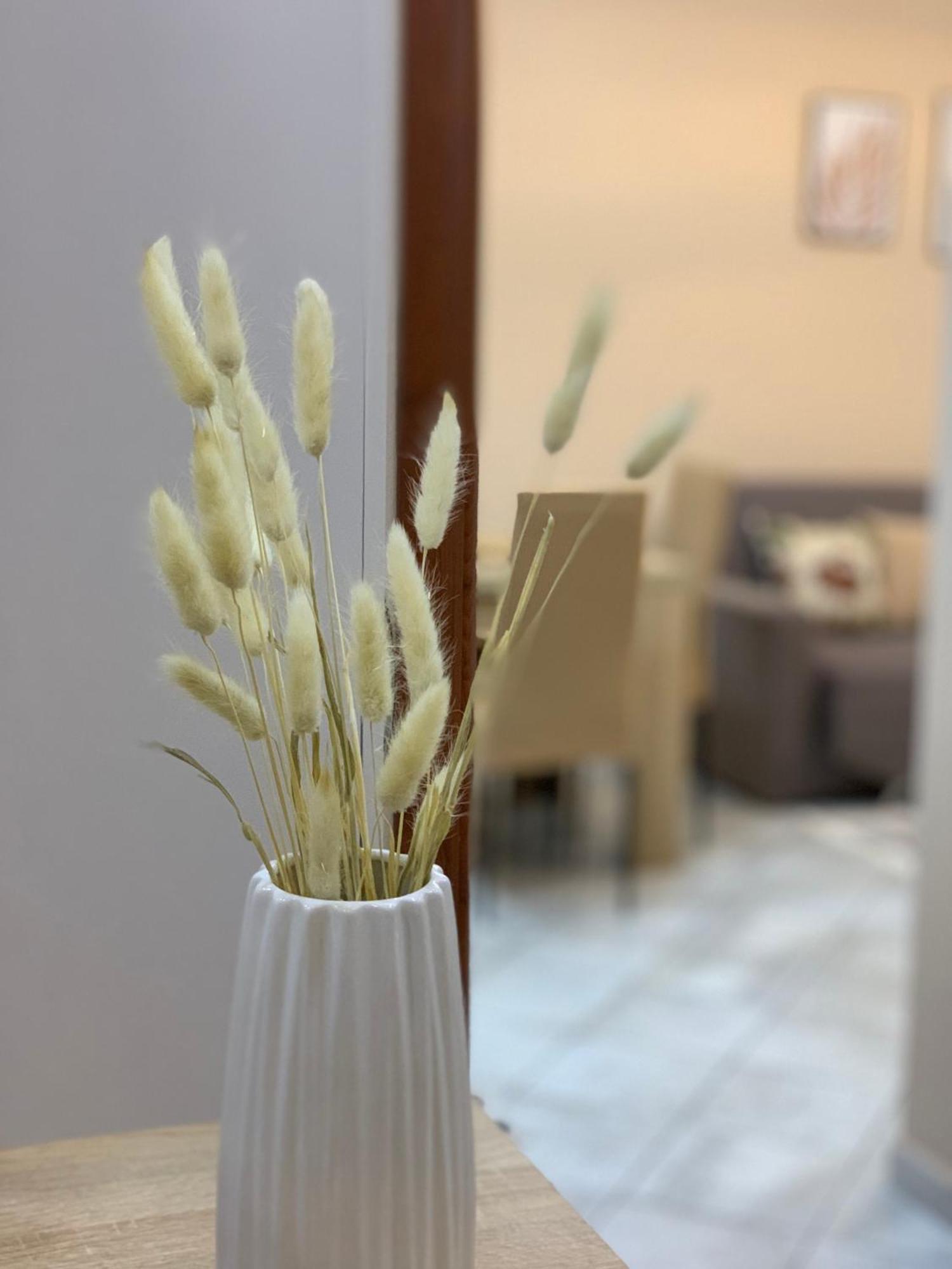 Ridi'S Comfort Apartment Шкодер Экстерьер фото